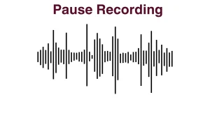 Pause Recordings 