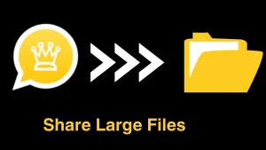 Share large files 